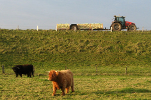 Bauer mit Traktor